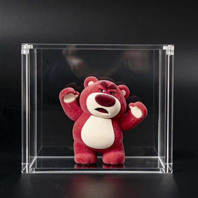 Acrylic Display Storage Case