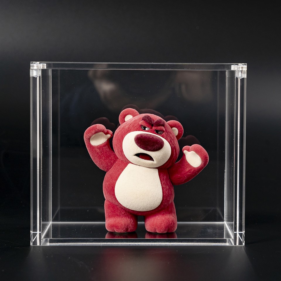 Stackable Storage Acrylic Display Case
